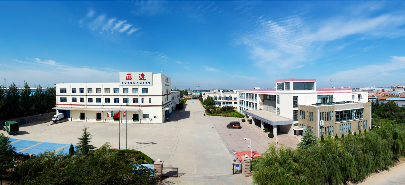 Company(图1)